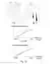 Fig. 02 - Cosmetic application element