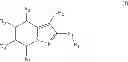 Fig. 02 - Cationic tetrahydropyrazolopyridines, dye composition comprising such oxidation bases, implementation process therefor and use thereof