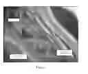 Fig. 07 - METHOD FOR CLEANING CHLORINE MEMBRANE ELECTROCHEMICAL CELL