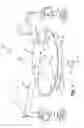 Fig. 02 - ZERO LAG DISPENSE APPARATUS