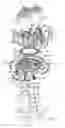 Fig. 03 - Apparatus for the delivery of fluid products