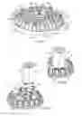 Fig. 09 - Apparatus for the delivery of fluid products