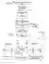 Fig. 09 - POWDERED FUEL PRODUCTION METHODS AND SYSTEMS USEFUL IN FARM TO FLAME SYSTEMS