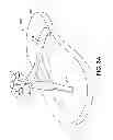 Fig. 06 - ARTICLES ADAPTED TO RELEASABLY RECEIVE INTERCHANGEABLE ORNAMENTS AND SYSTEM THEREFOR