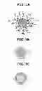 Fig. 02 - ADHESIVE COMPOSITION FOR OPTICAL DEVICE AND ADHERING METHOD USING THE SAME