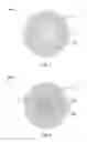 Fig. 02 - Methods of using enhanced wellbore electrical cables