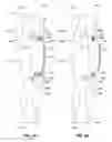 Fig. 11 - Expandable apparatus and related methods