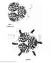 Fig. 08 - HYBRID BIT WITH ROLLER CONES NEAR THE BIT AXIS