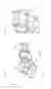 Fig. 06 - Vehicle having one or more fuel filters attached to a location other than the engine