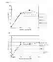 Fig. 02 - ANODE FOR OXYGEN GENERATION AND MANUFACTURING METHOD FOR THE SAME
