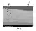 Fig. 03 - METHOD OF MANUFACTURE A SLIDING BEARING