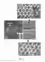Fig. 04 - Process for scalable synthesis of molybdenum disulfide monolayer and few-layer films