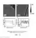 Fig. 15 - Process for scalable synthesis of molybdenum disulfide monolayer and few-layer films