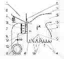 Fig. 01 - Separating machine for separating loose mixtures in a fluid