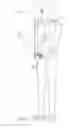 Fig. 03 - Strap lifter for use between two persons