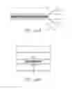 Fig. 43 - Removable wall decoration kits, systems and methods