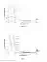 Fig. 02 - Injection for sampling heavy oil
