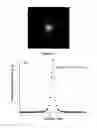 Fig. 12 - Apparatus and methodology for flow fluorescence microscopic imaging