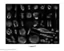 Fig. 15 - Apparatus and methodology for flow fluorescence microscopic imaging