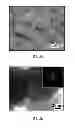 Fig. 04 - WORKING FLUID AND MANUFACTURING METHOD OF METAL NANO-PARTICLES