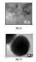 Fig. 05 - WORKING FLUID AND MANUFACTURING METHOD OF METAL NANO-PARTICLES