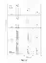 Fig. 08 - WORKING FLUID AND MANUFACTURING METHOD OF METAL NANO-PARTICLES