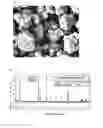 Fig. 07 - Method of preparing material for lithium secondary battery of high performance