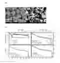 Fig. 07 - Stoichiometric lithium cobalt oxide and method for preparation of the same