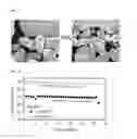 Fig. 10 - Stoichiometric lithium cobalt oxide and method for preparation of the same