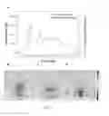 Fig. 19 - EMISSION IN NANOSCALE STRUCTURES VIA NANOCAVITY PLASMONS