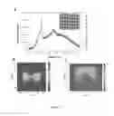 Fig. 22 - EMISSION IN NANOSCALE STRUCTURES VIA NANOCAVITY PLASMONS