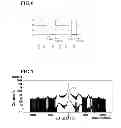 Fig. 05 - SEMICONDUCTOR ELEMENT AND METHOD FOR PRODUCING THE SAME