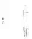 Fig. 17 - Organic light emitting display and method of manufacturing the same