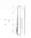 Fig. 05 - Organic light-emitting display apparatus and method of manufacturing the same
