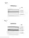 Fig. 06 - ELECTRODE, MIS SEMICONDUCTOR DEVICE AND MANUFACTURING METHOD OF ELECTRODE