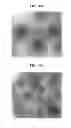 Fig. 06 - Low-defect semiconductor device and method of manufacturing the same