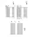 Fig. 07 - METHOD OF MAKING A SEMICONDUCTOR DEVICE USING A DUMMY GATE