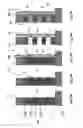 Fig. 09 - Floating gate ultrahigh density vertical NAND flash memory