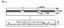 Fig. 01 - Stress compensation layer to improve device uniformity
