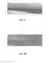 Fig. 04 - Microparticle organization