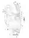 Fig. 08 - VEHICLE ACCESSIBILITY SYSTEM