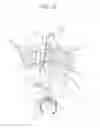 Fig. 16 - Rotating Electrical Machine