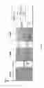 Fig. 06 - CHARGE-PUMP CIRCUIT FOR IMPROVING READ DISTANCE