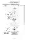 Fig. 09 - Methods and apparatuses to identify devices