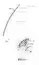 Fig. 14 - Two-dimensional multi-beam former, antenna comprising such a multi-beam former and satellite telecommunication system comprising such an antenna