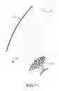 Fig. 15 - Two-dimensional multi-beam former, antenna comprising such a multi-beam former and satellite telecommunication system comprising such an antenna