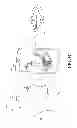 Fig. 06 - Manipulation of virtual object in augmented reality via thought