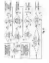 Fig. 18 - Easily deployable interactive direct-pointing system and presentation control system and calibration method therefor
