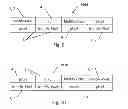 Fig. 12 - In-cell multifunctional pixel and display