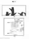 Fig. 04 - Tree model and forest model generating method and apparatus